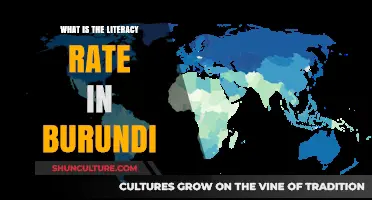 Exploring Burundi's Literacy Landscape: Challenges and Progress