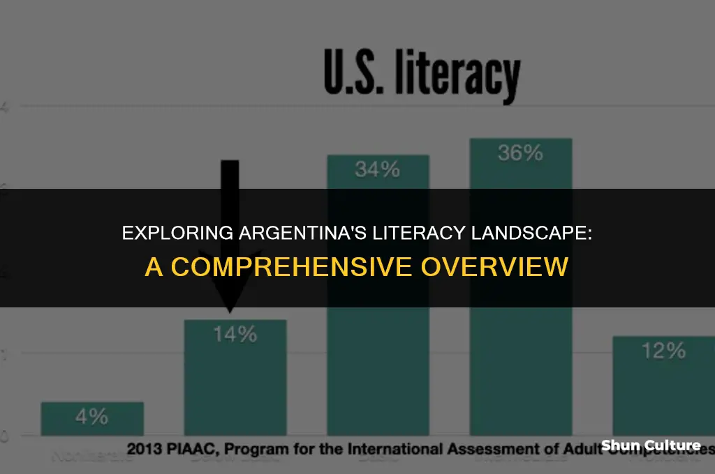 what is the literacy rate of argentina