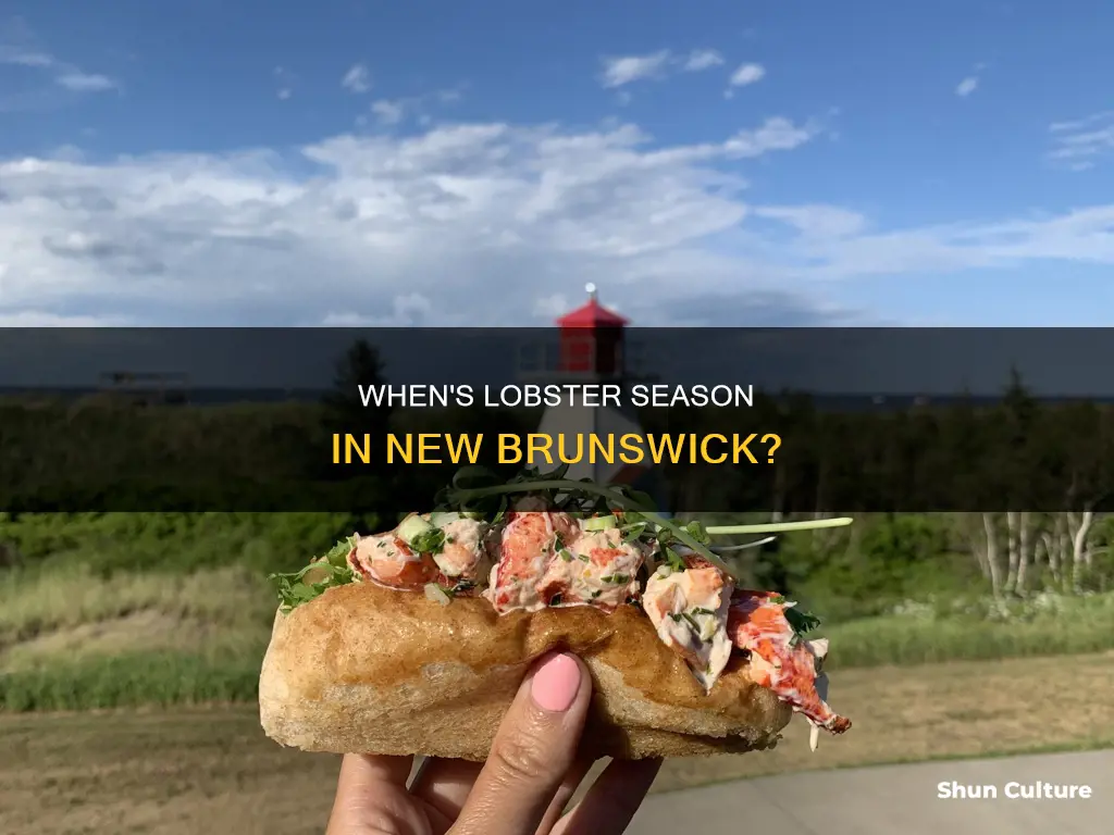 what is the lobster season in new brunswick