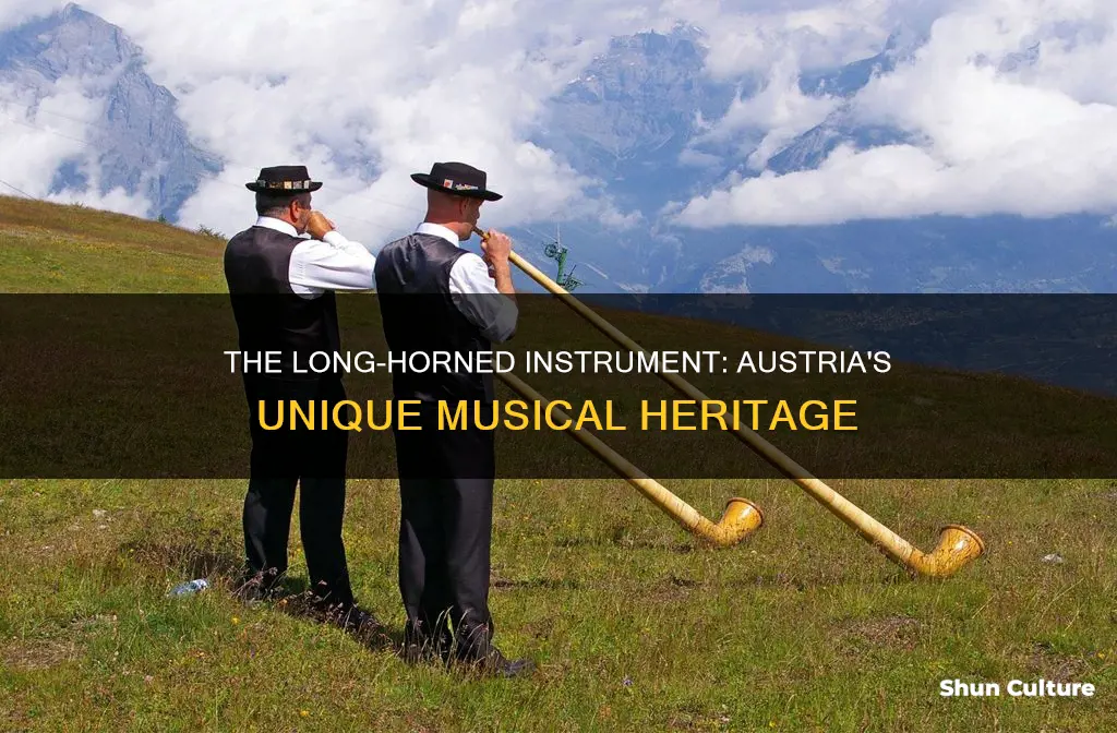 what is the long horne instrument played in austria