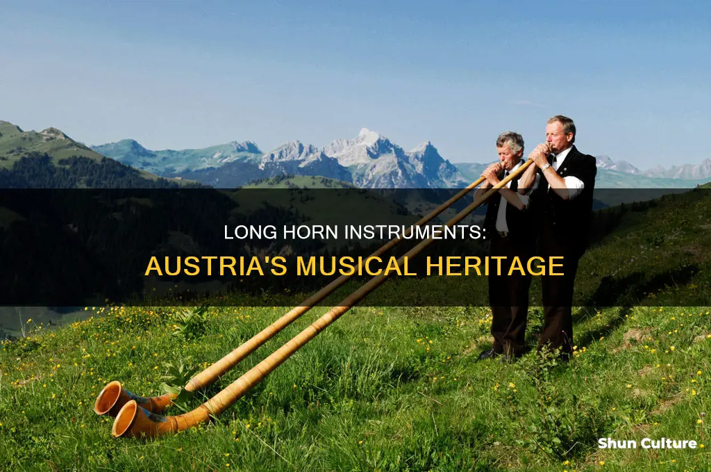 what is the long horne instrument played in austria