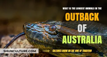 Exploring Australia's Outback: The Longest Animals Unveiled