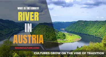 The Mighty Danube: Austria's Longest River Revealed