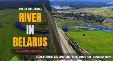 Exploring Belarus' Longest River: A Natural Wonder