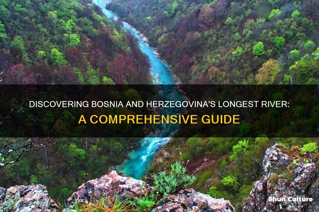 what is the longest river in bosnia and herzegovina