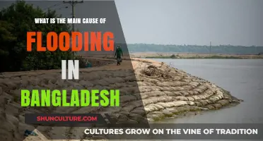 Understanding Bangladesh's Flooding Crisis: Key Causes and Impacts