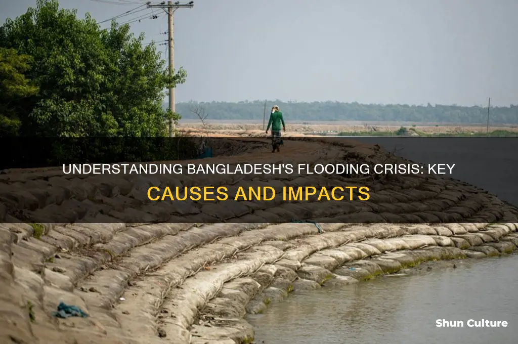 what is the main cause of flooding in bangladesh
