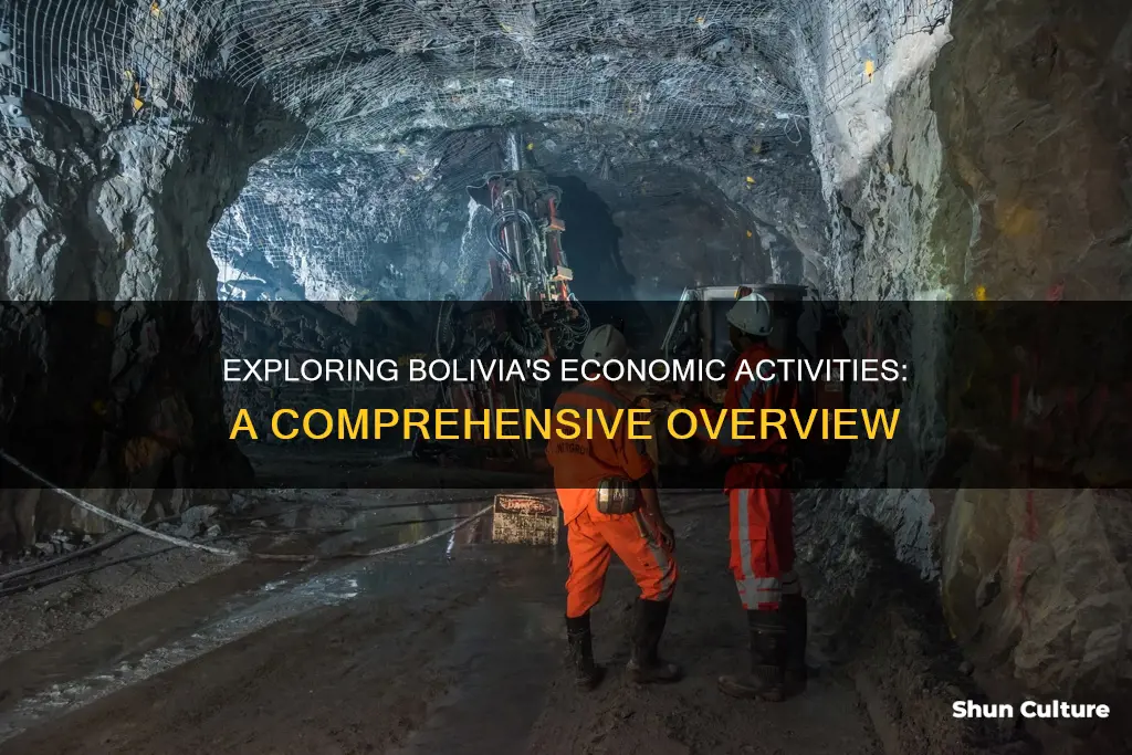 what is the main economic activity in bolivia answers