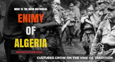 Algeria's Enduring Historical Adversary: France's Colonial Legacy and Resistance