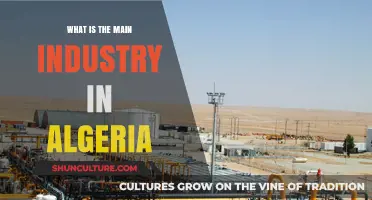 Algeria's Economic Backbone: Exploring the Dominant Industry Shaping the Nation