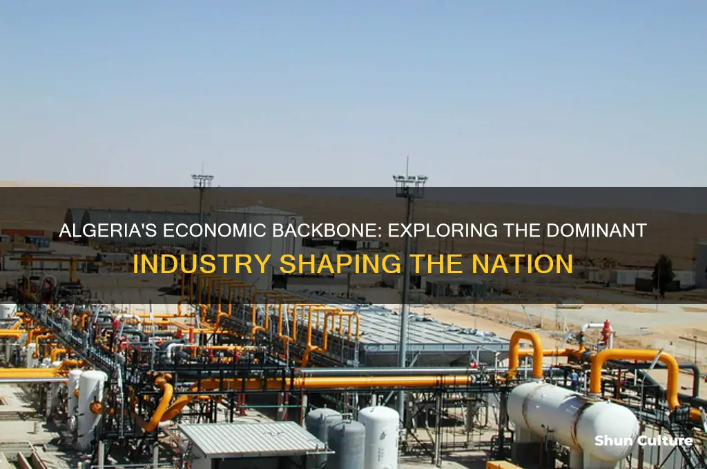 what is the main industry in algeria