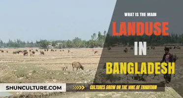 Exploring Bangladesh's Dominant Land Use: Agriculture's Role and Impact