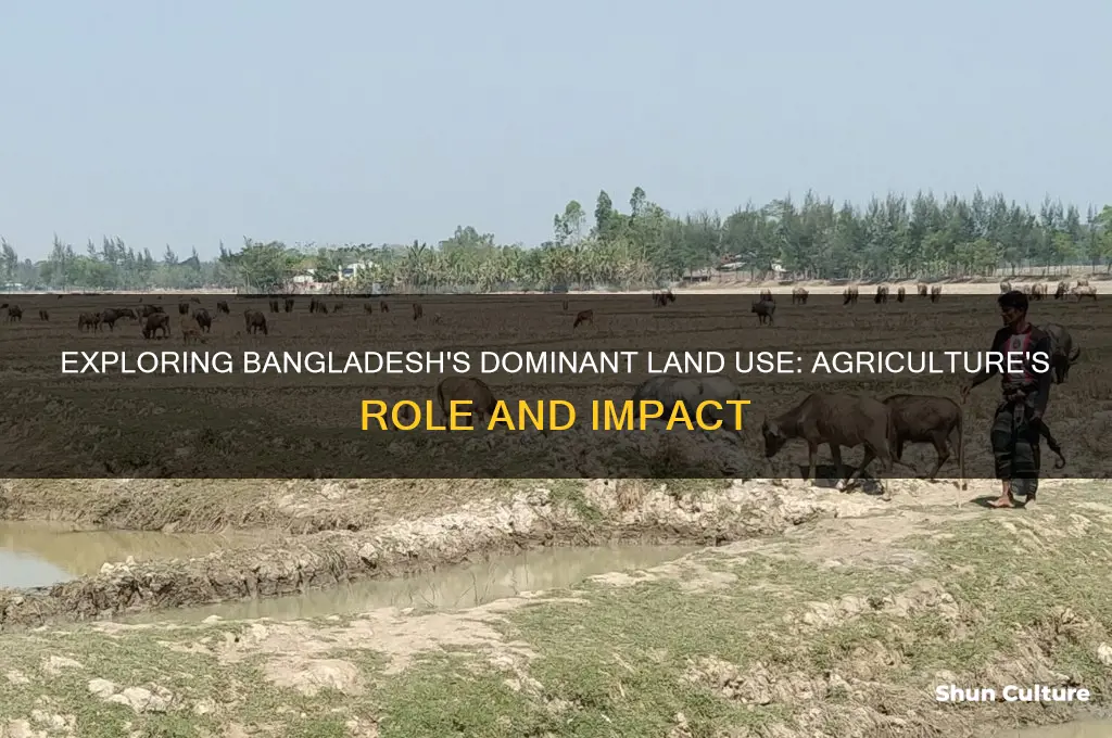 what is the main landuse in bangladesh