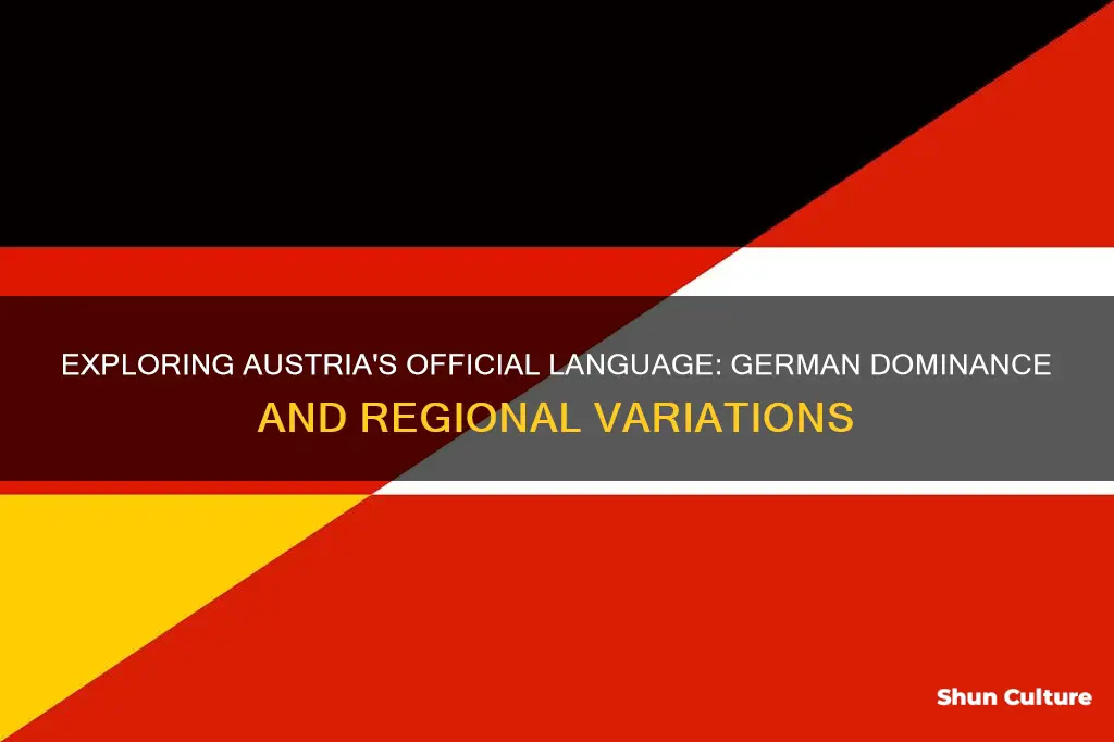 what is the main language spoken in austria brainly