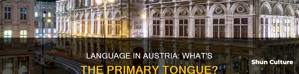 what is the main language spoken in austria brainly