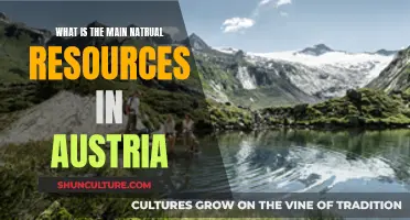 Austria's Natural Treasures: Unveiling the Country's Abundant Resources