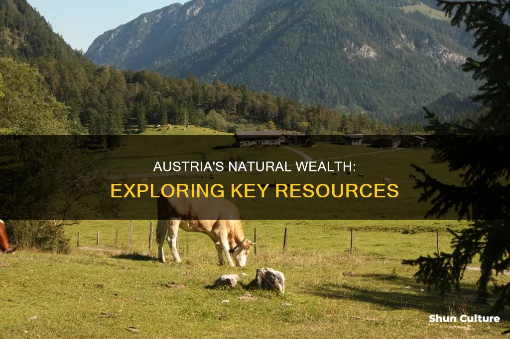 what is the main natrual resources in austria