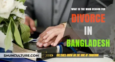 Unraveling the Primary Cause of Divorce in Bangladesh: Key Insights
