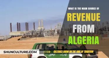 Algeria's Economic Lifeline: Unveiling the Primary Revenue Source