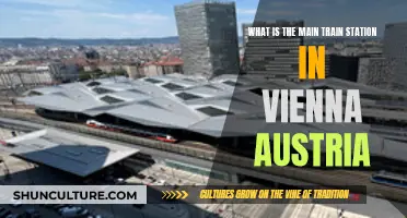 Vienna's Central Hub: The Main Train Station Explained