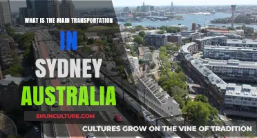 Sydney's Transport: Trains, Buses, Ferries, and More Explained