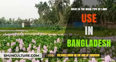 Exploring Bangladesh's Dominant Land Use: Agriculture's Role and Impact