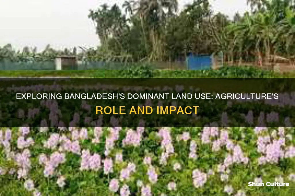 what is the main type of land use in bangladesh