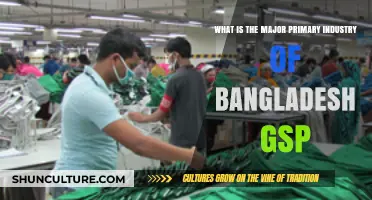 Bangladesh's Primary Industry: Key Driver of GSP Growth and Economy