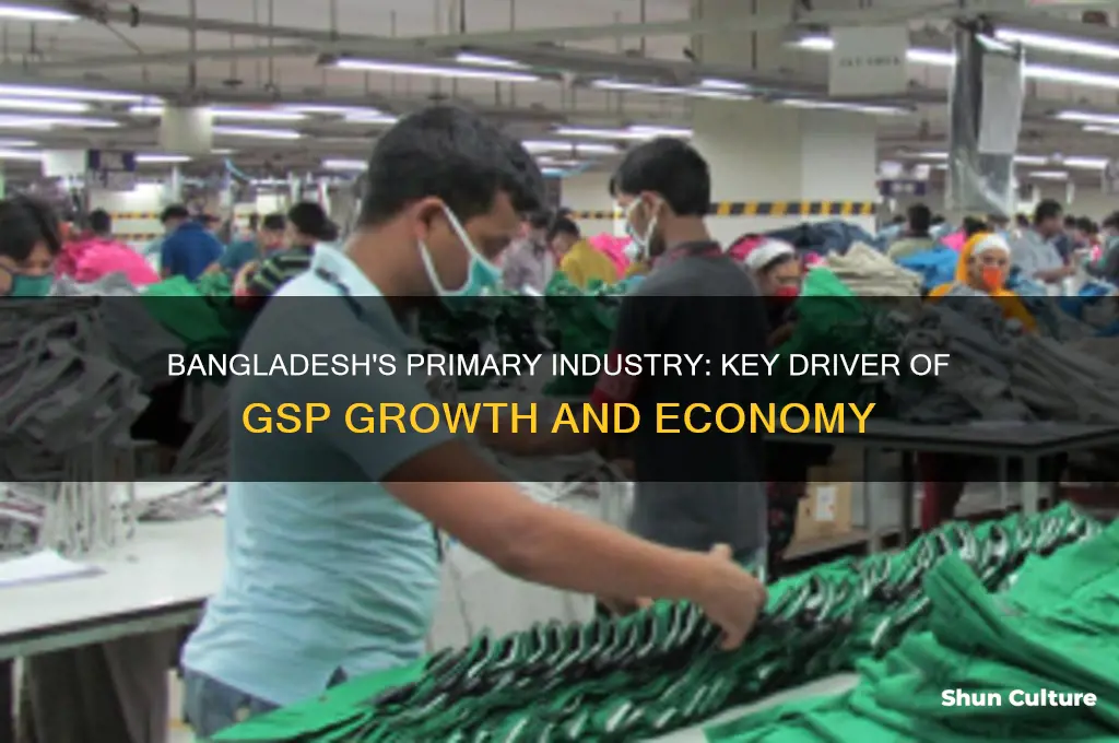 what is the major primary industry of bangladesh gsp