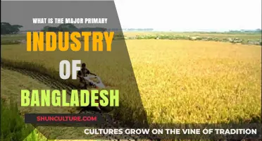 Exploring Bangladesh's Primary Industry: Agriculture's Dominance and Economic Impact