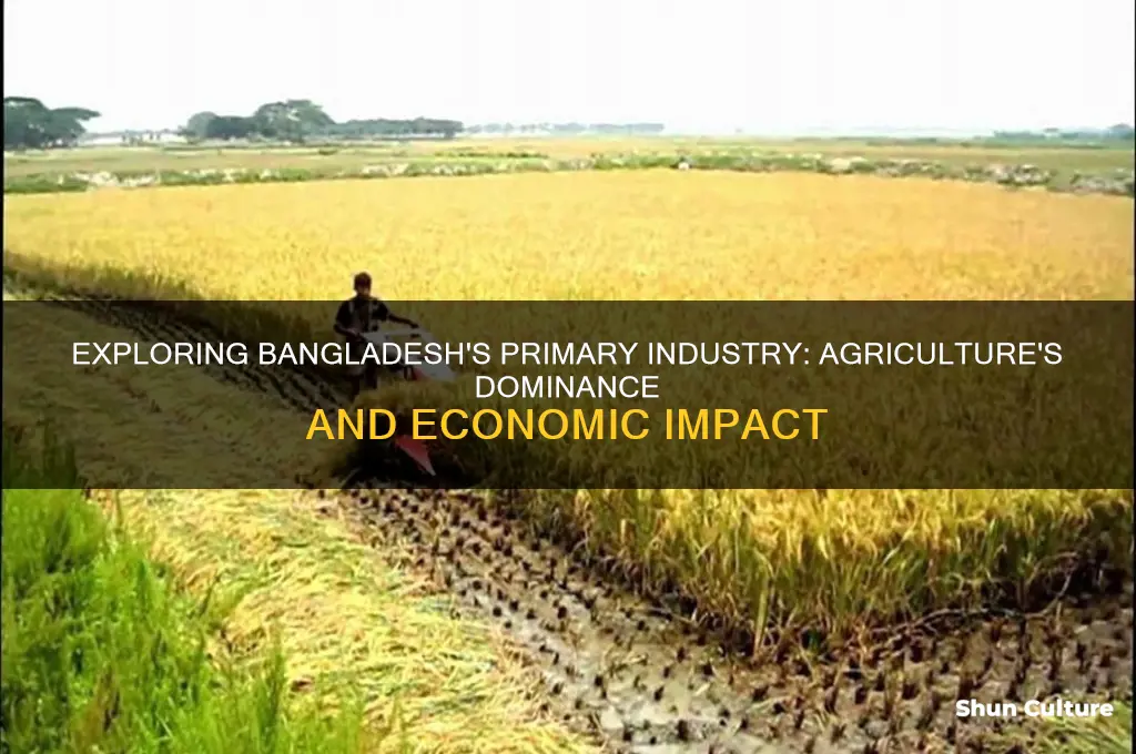 what is the major primary industry of bangladesh