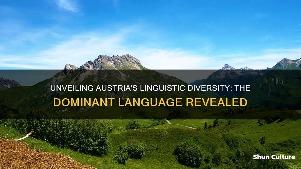 what is the majority language in austria