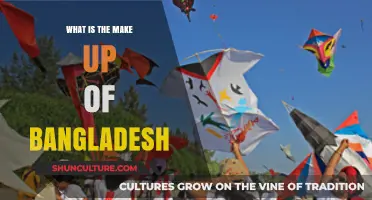 Exploring Bangladesh's Diverse Cultural, Geographic, and Demographic Composition
