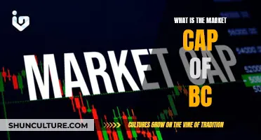 The Market Capitalization Mystery: Unveiling BC's Market Cap