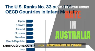 Maternal Mortality in Australia: Understanding the Numbers