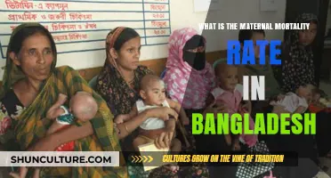 Understanding Bangladesh's Maternal Mortality Rate: Trends, Challenges, and Progress