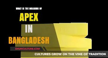Understanding the Significance of Apex in Bangladesh's Legal Framework
