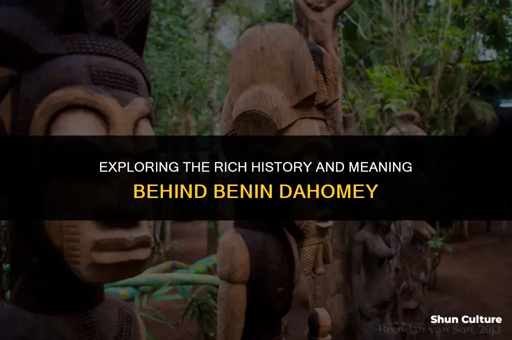 what is the meaning of benin dahomey