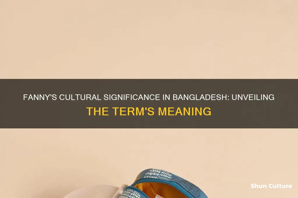 what is the meaning of fanny in bangladesh