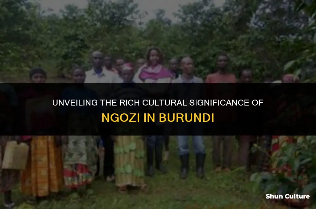 what is the meaning of ngozi in burundi