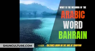 Exploring the Etymology of the Word Bahrain