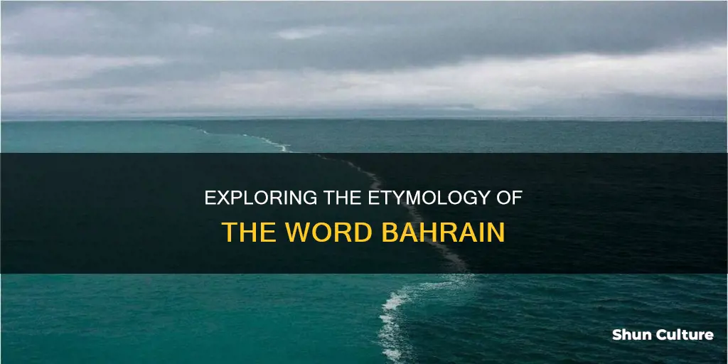 what is the meaning of the arabic word bahrain