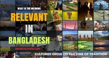 Understanding Relevance in Bangladesh: Culture, Society, and Modern Contexts