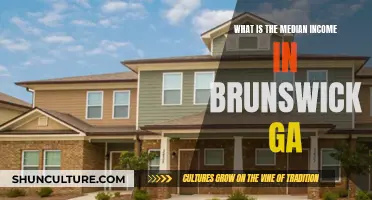 Brunswick, GA: Income Insights