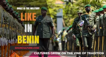 Exploring the Structure and Role of Benin's Military Forces