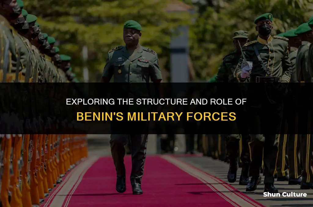 what is the military like in benin