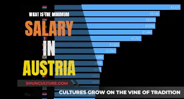 Uncover Austria's Minimum Wage: A Comprehensive Guide