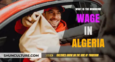 Understanding Algeria's Minimum Wage: Current Rates and Economic Impact