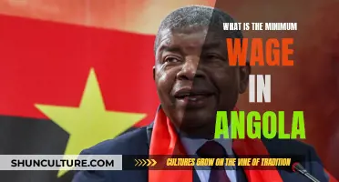 Angola's Minimum Wage: How Much Do Angolans Earn?