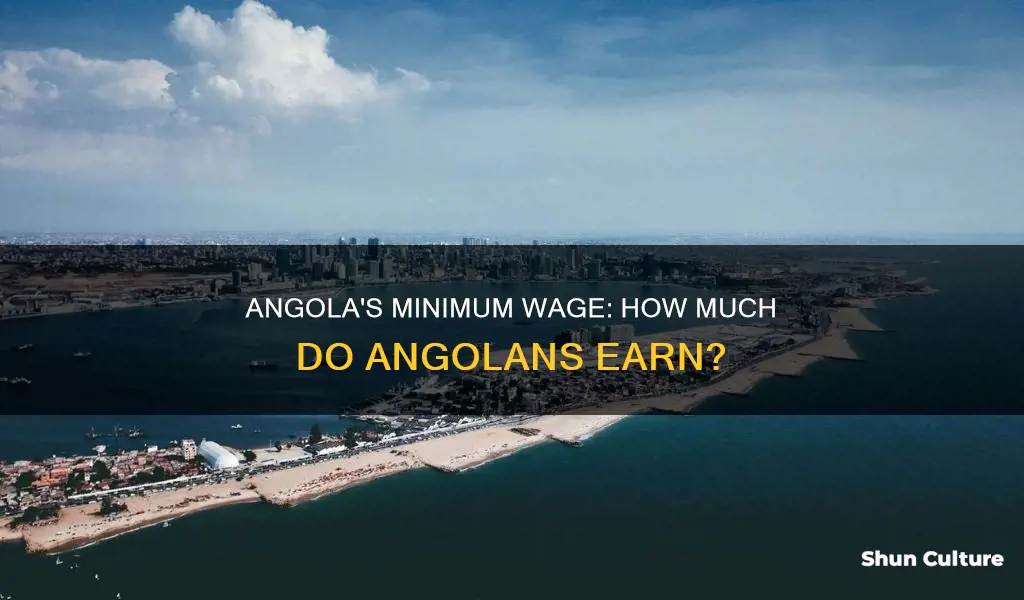 what is the minimum wage in angola